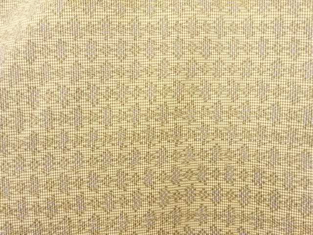 JAPANESE KIMONO / ANTIQUE KIMONO / SILK / OSHIMA TSUMUGI / WOVEN ABSTRACT PATTERN